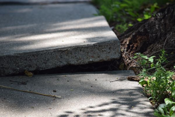 Sidewalk Leveling in Medina
